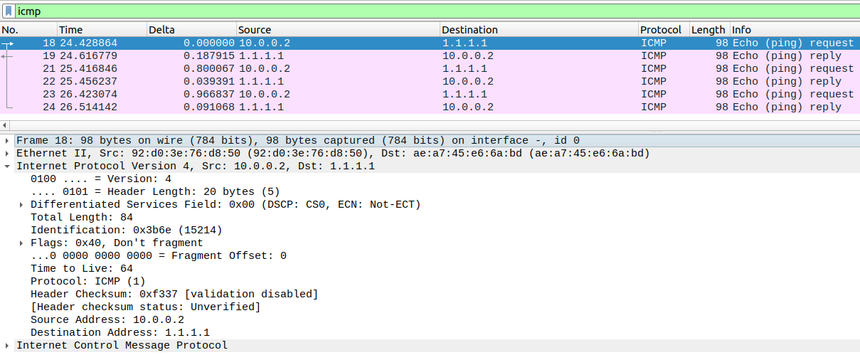 Packet capture between Kali1 and the NAT Cloud