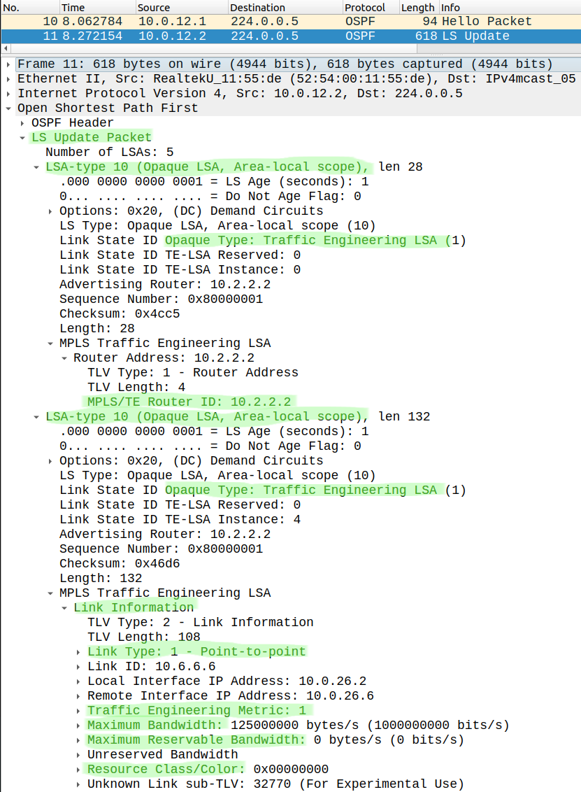 OSPF Type 10 Opaque LSA