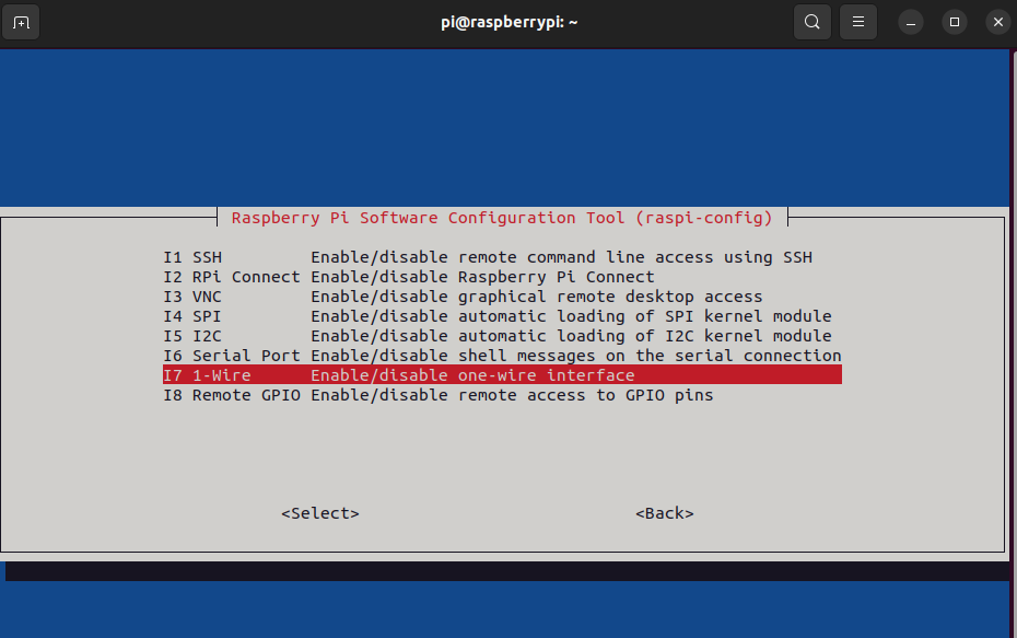 Rpi - enabling the 1-Wire interface