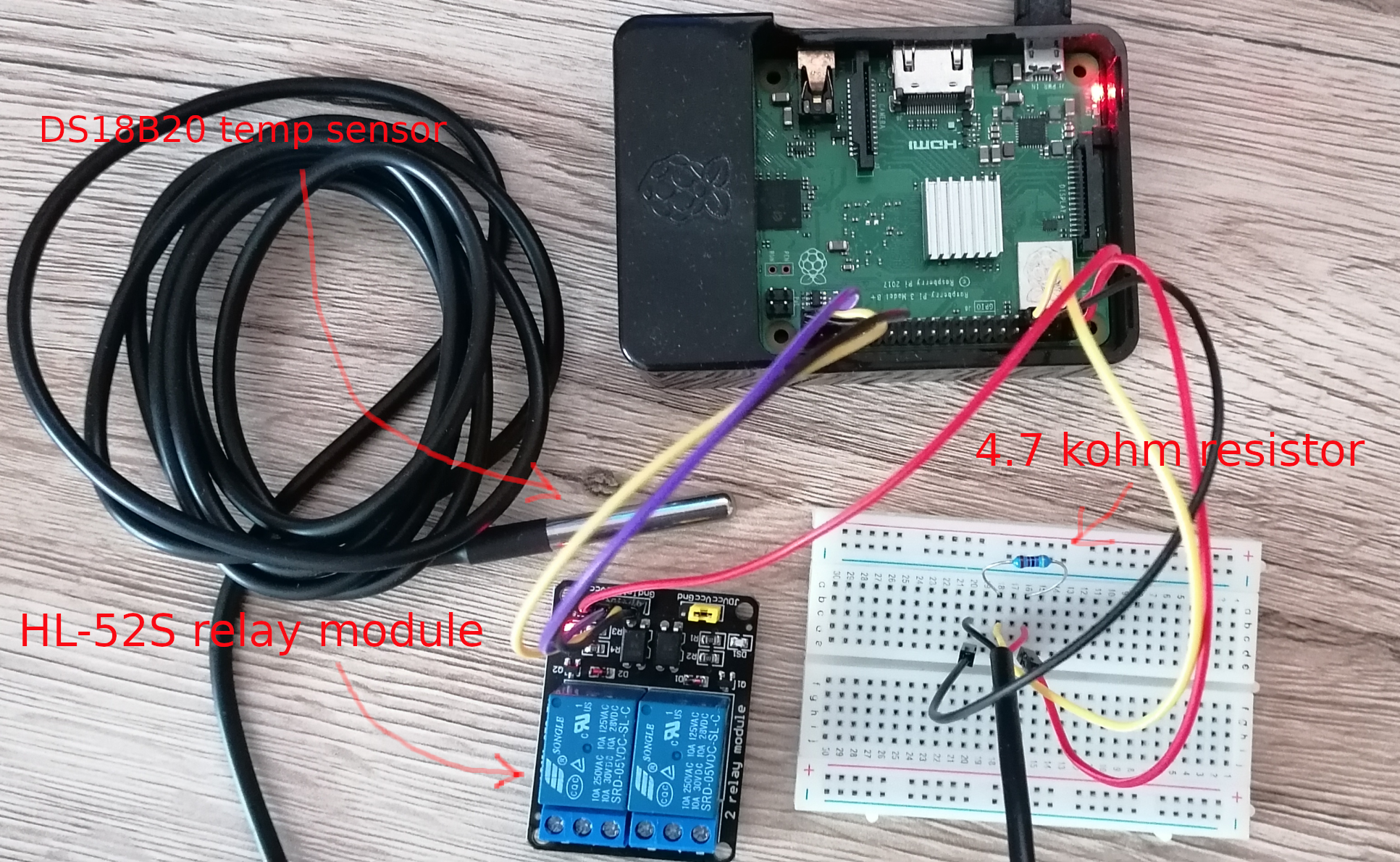 Raspberry with the temp sensor and relay module