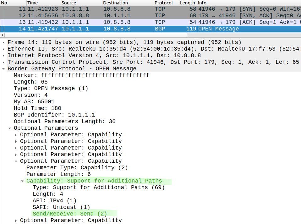BGP OPEN additional-paths
