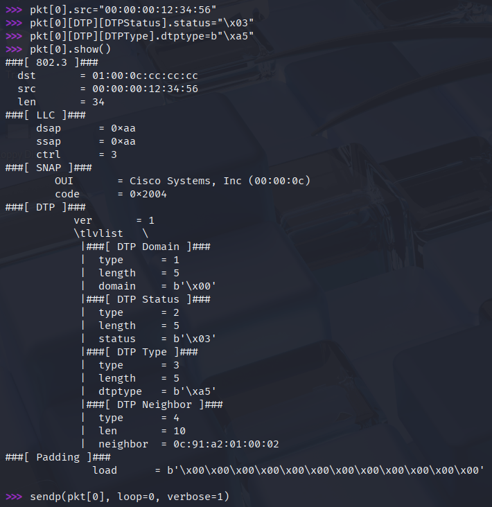 Establish trunk link with Scapy