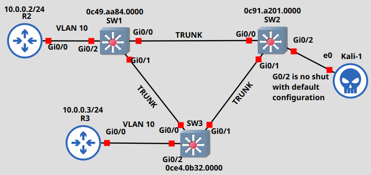 Scapy topology