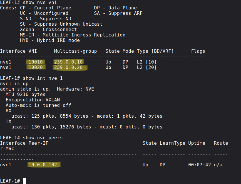 Show commands for verification