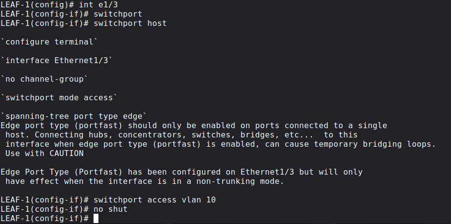 Leaf switches switchport config