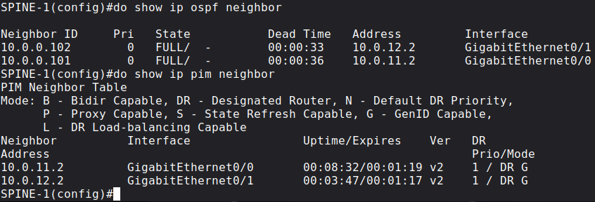 PIM and OSPF neighbors on SPINE-1