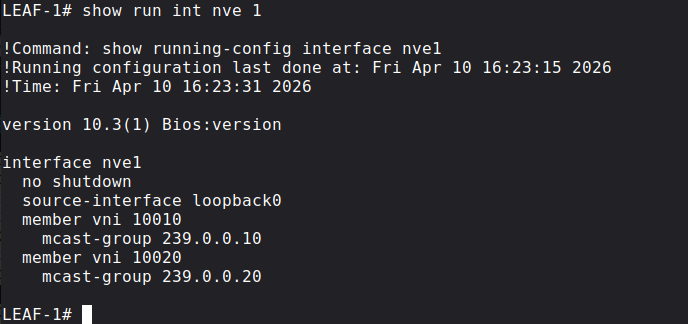 NVE interface configuration