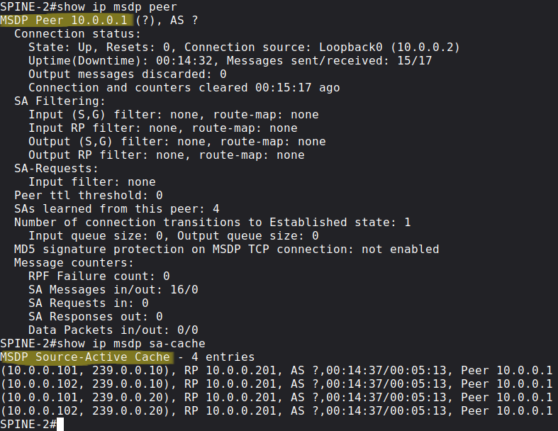 MSDP show commands