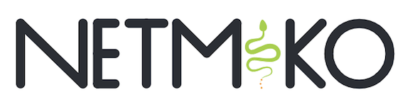 Netmiko logo