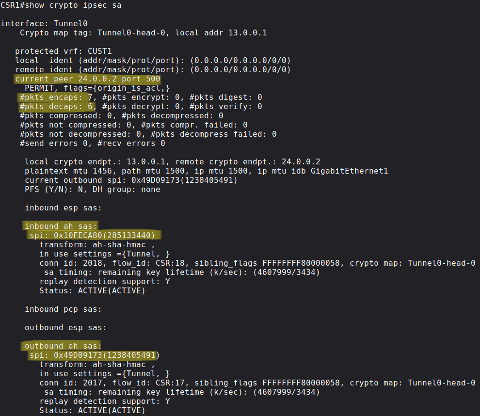 show crypto ipsec sa