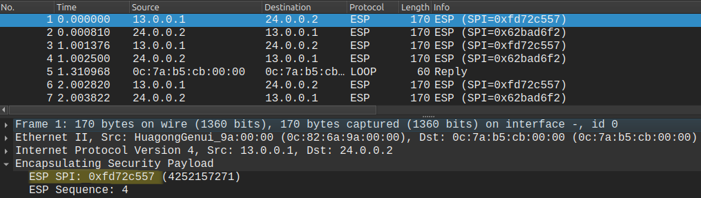 ESP packets